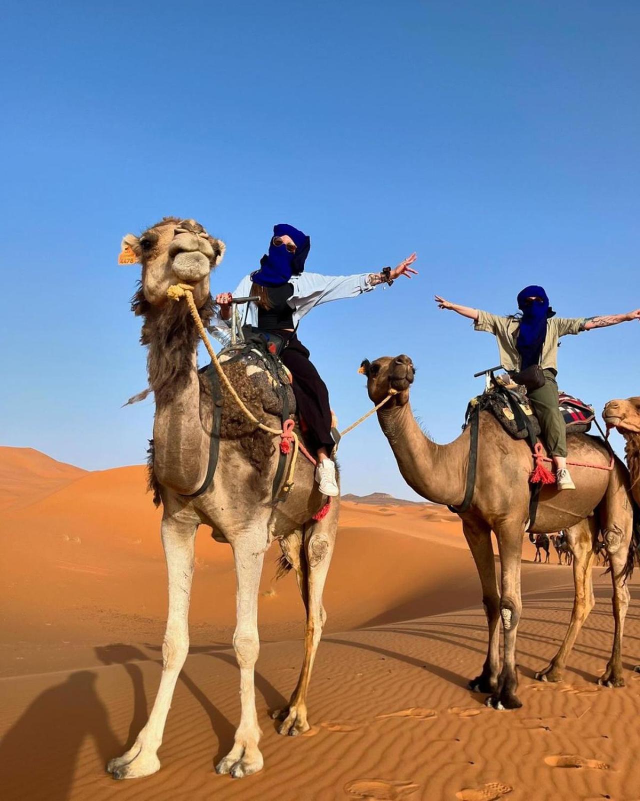 Sahara Camp